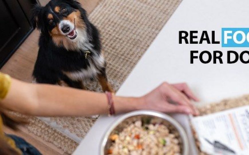 JustFoodForDogs